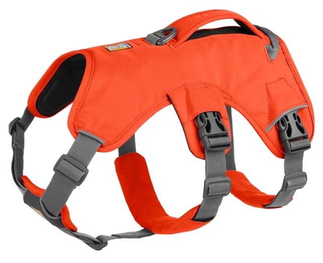 Ruffwear Web Master Harness Blaze Orange - Hundselar - 748960736613 - 1