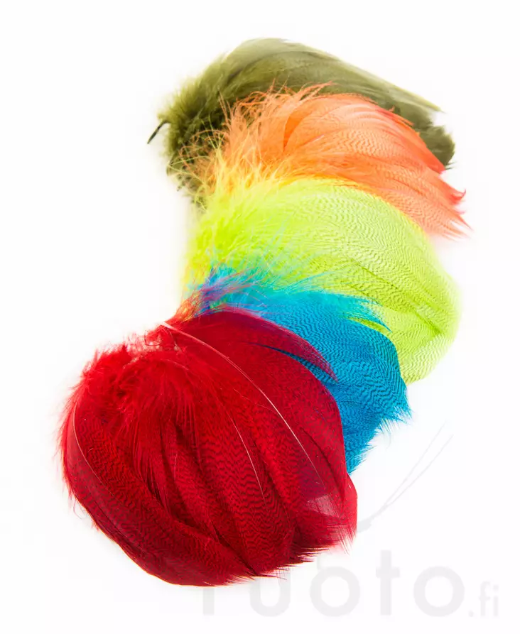 Mallard Flank Barred Large - Övriga fjädrar - 40450300033 - 1