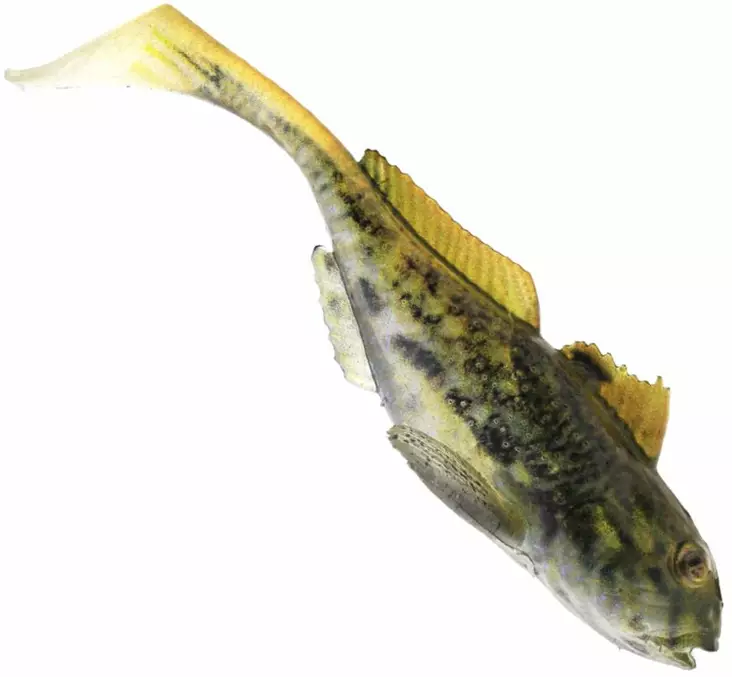 Westin Gunnar The Goby 6,5cm 3,5g 3pcs - Lappfiskarjiggar - 1730013 - 1