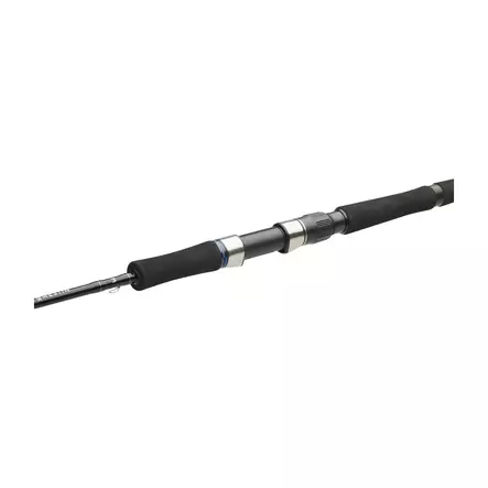 Westin W2 Jigging 6' max 200g - Jiggingspön - 5707549545874 - 2