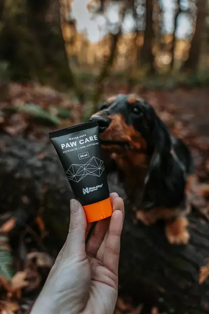 Non-stop Dogwear Paw Care 100ml - Övriga hundprodukter - 7071652020404 - 2