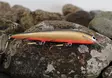 Karikko Vaappu 15cm - Vobbler +10 cm - 24022024 - 5
