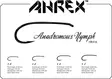 Ahrex HR416 Anadromous Nymph - Laxkrokar - 655043957554 - 3