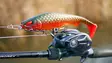 Pike shad 24cm 112g - Gummibeterna för gädda - 2510202214 - 15