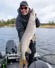 Pike shad 24cm 112g - Gummibeterna för gädda - 2510202214 - 16
