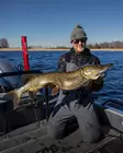 Pike shad 24cm 112g - Gummibeterna för gädda - 2510202214 - 18