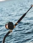 Daiwa Tanacom X 66XXHST - Havsfiskespön för djuphavsfiske - 5055545247774 - 2