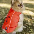 Finnero Sport Softshell - Hundjackor och -västar - 6438406009244 - 5