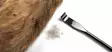 Hareline Ceramic Zirgonia Dubbing Rake - Dubbingsnurror och -borstar - 762820208614 - 8