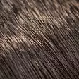 Hareline Comparadun Deer Hair - Kropphår - 7628200124444 - 2