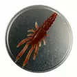 Microbite Decapod 5cm - Krabbjiggar och insektsimitationer - 34003000054 - 8