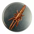 Microbite Decapod 5cm - Krabbjiggar och insektsimitationer - 34003000054 - 1