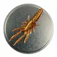 Microbite Decapod 5cm - Krabbjiggar och insektsimitationer - 34003000054 - 5