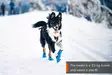 Non-stop Dogwear Long Distance Bootie - Hundjackor och -västar - 7071652013314 - 2