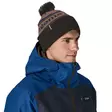 Patagonia Powder Town Beanie Park Stripe: Marlow Brown - Mössar - 198077389194 - 2