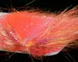 Sybai Tackle Saltwater Angel Hair - Flash - 405501010034 - 9