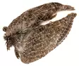 Veniard English Partridge Wings - Skinn, vingar och huvud - 5056304603589 - 1