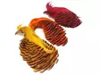 Golden Pheasant Complete Head 1st Qualit - Skinn, vingar och huvud - 404001000024 - 1