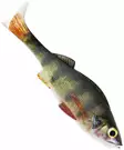 Westin Original Perch Shadtail 7cm 4g 2kpl - Lappfiskarjiggar - 0612202214 - 8