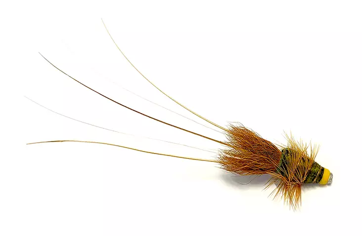 Olive Frances Tungsten Tube - Tubflugor - 8859202536334 - 1