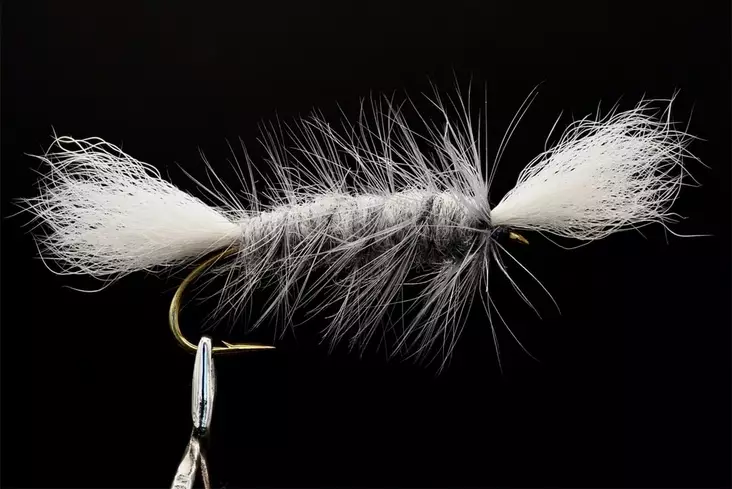 Pompero Olive Salmon Dry Fly - Övriga laxflugor - 8859202530004 - 1