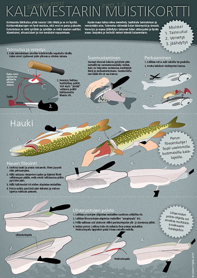 Sakke Yrjölä Kalamestarin Muistikortti A4-kortti - Trycksaker - 6430048500714 - 1