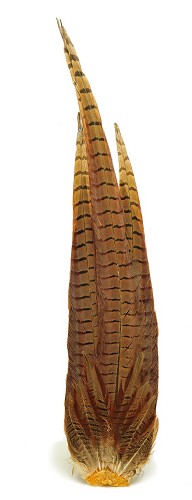 Veniard Cock Pheasant Complete Tail - Stjärter - 5056304604272 - 1