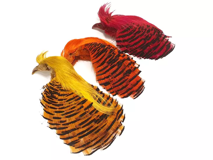Golden Pheasant Complete Head 1st Qualit - Skinn, vingar och huvud - 404001000024 - 1