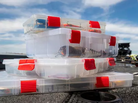 Plano Rustrictor 3700 - Betesbox - 024099010245 - 2