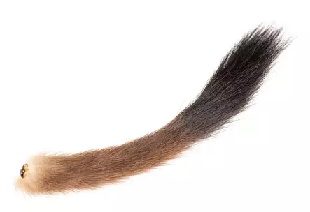 Stoat Tail - Svansar och svansbitar - 40500100015 - 3