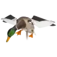 Avian-X Powerflight Mallard - Lockande bilder / -diagram - 082271001795 - 2