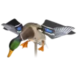 Avian-X Powerflight Mallard - Lockande bilder / -diagram - 082271001795 - 1