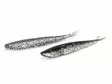 Lunker City Fin-S Fish 5''/12,5cm - Vertikaljiggar - 1730020005 - 3