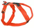 Non-stop Dogwear Line Harness 5.0 Orange - Hundselar - 7071652021845 - 1