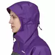 - - - 6
