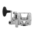 Penn International 16VIS Silver - Lätta kustrullar - 031324033405 - 3