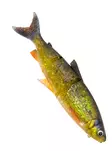 Savage Gear 3D LT Whitefish 22cm/107g - Gummibeterna för gädda - 173026925 - 4