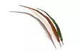 Silvergrey Cock Pheasant Centre Tails - Stjärter - 404503000025 - 1