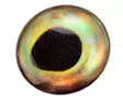 Sybai 3D Epoxy Fish Eyes 10mm -tarrasilmät - Klistermärkeögon - 402004000095 - 4