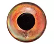Sybai 3D Epoxy Fish Eyes 10mm -tarrasilmät - Klistermärkeögon - 402004000095 - 6