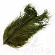 Wapsi Ostrich Plumes - Övriga fjädrar - 40450300035 - 3