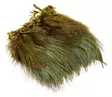 Wapsi Ringneck Pheasant Rump Hackle - Övriga fjädrar - 404503000015 - 2