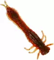 Westin Odonata Ned Creature 6,5cm 2g - Dropshot-jiggar - 173005 - 2