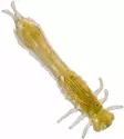 Westin Odonata Ned Creature 6,5cm 2g - Dropshot-jiggar - 173005 - 4