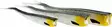 Westin TwinTeez V-Tail 20cm - Vertikaljiggar - 1734055 - 8
