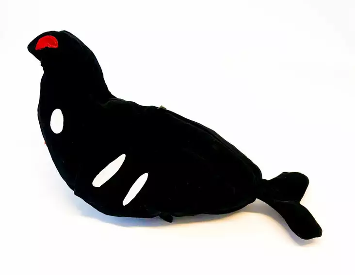 Bear Claw Samettiteeri - Lockande bilder / -diagram - 6419773613555 - 1