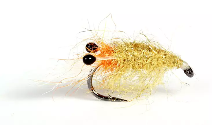 Hololoppa Shrimp - Kräfträkor - 7033840130265 - 1