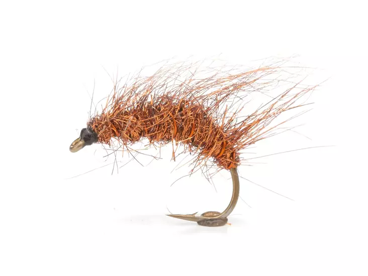 Kopperbassen Shrimp - Kräfträkor - 5707549312735 - 1