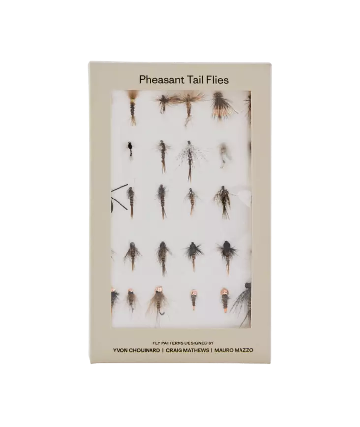 Patagonia Pheasant Tail Simplicity Fly Box Clear - Betesbox - 198077847885 - 1