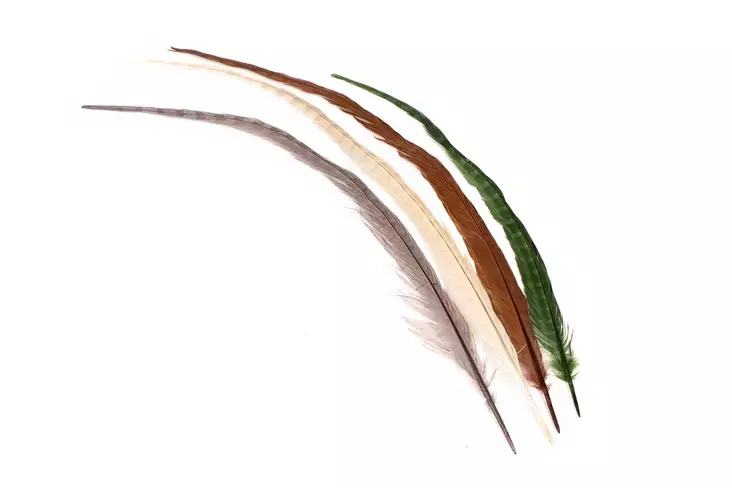 Silvergrey Cock Pheasant Centre Tails - Stjärter - 404503000025 - 1